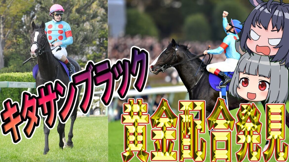 キタサンブラックの黄金配合が判明。イクイノックスはじめ今最も熱い種牡馬キタサンブラック