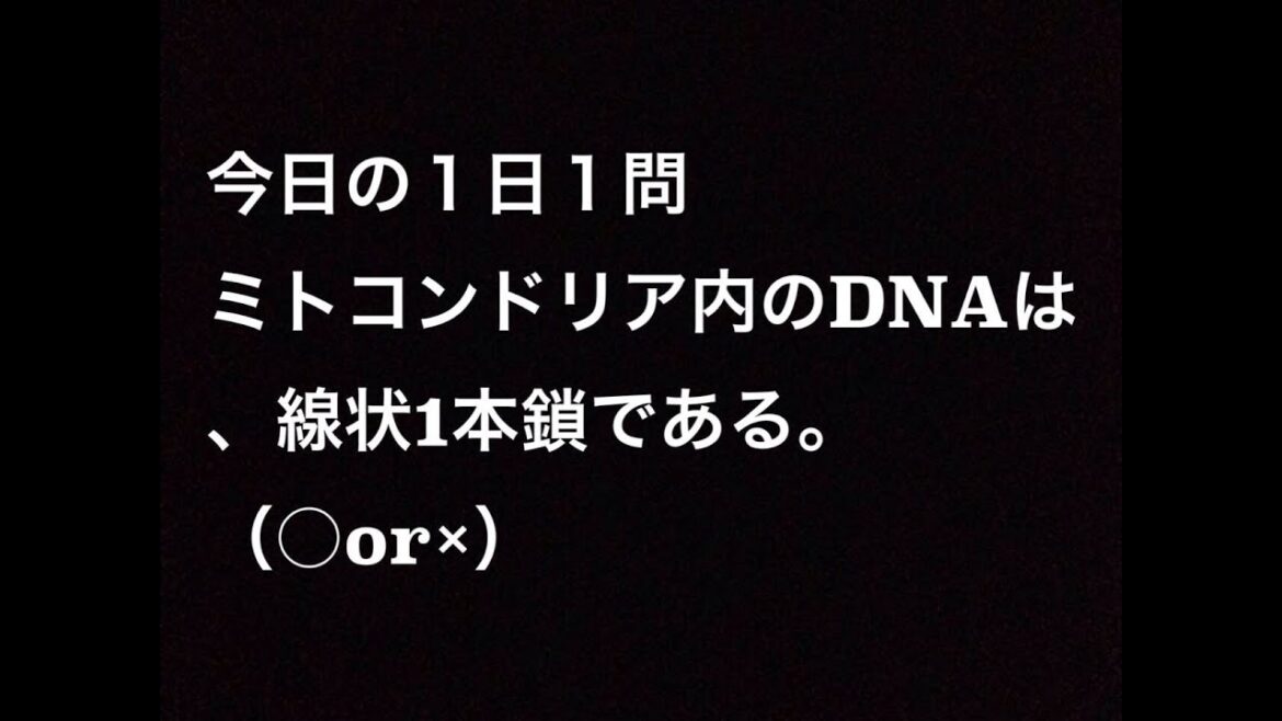 ファンスタディの無料メールセミナー：ミトコンドリア内のDNAは、線状1本鎖である。（○or×）