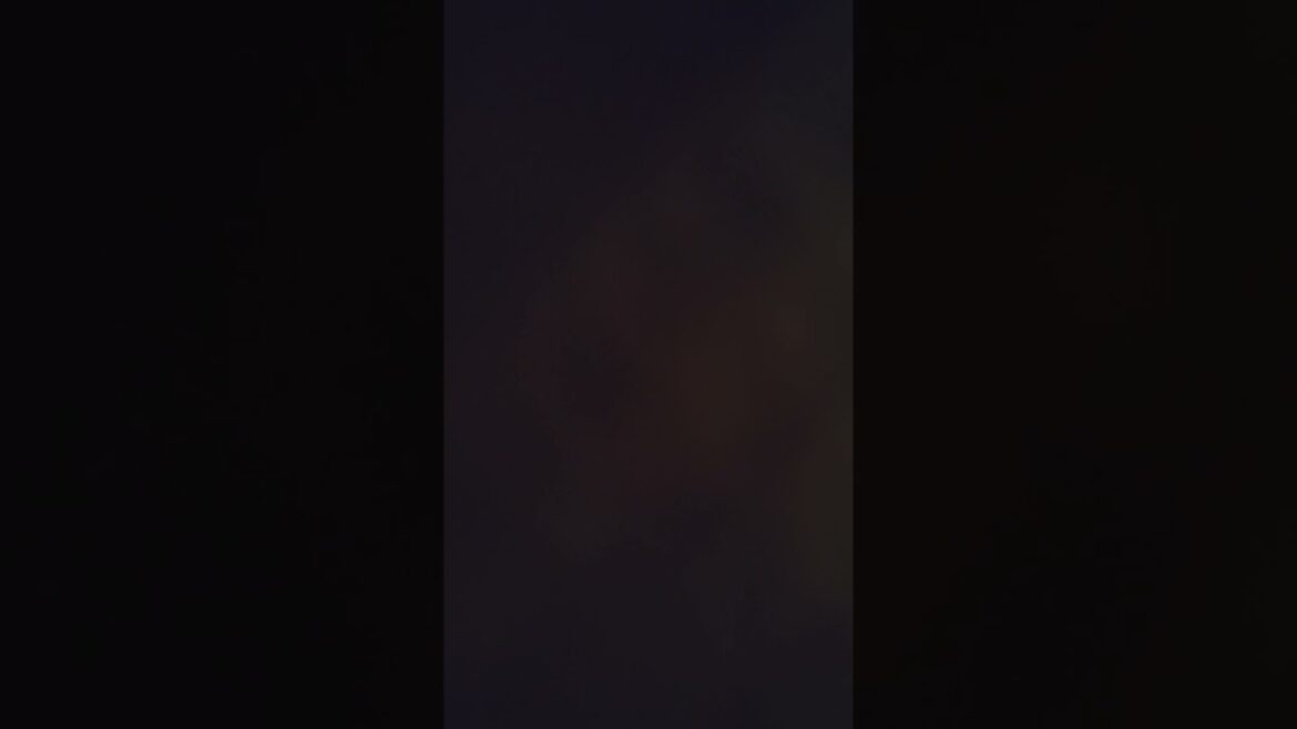 フルハウス　ダニーものまね