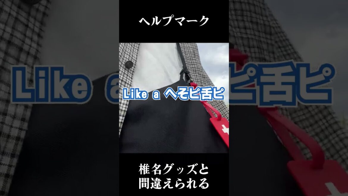 ヘルプマークを椎名林檎さんグッズと間違えられた件について