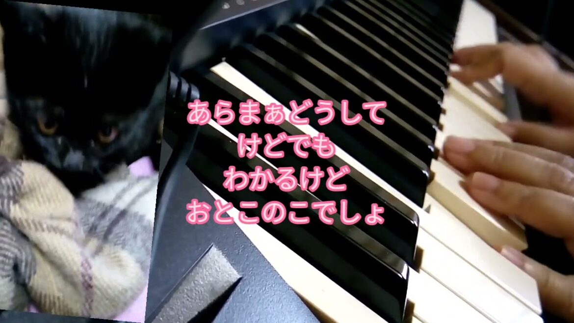 ムーミンのテーマ　ねぇムーミンこっちむいて