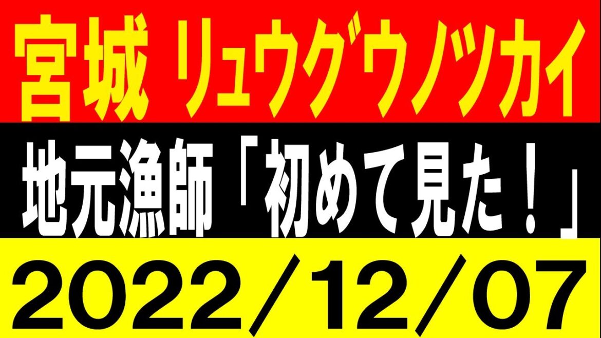 宮城でリュウグウノツカイ出現！地元漁師「初めて見た！」地震研究家 レッサー