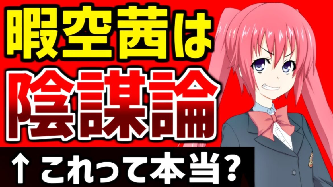 暇空茜は陰謀論者なのか？【Colabo騒動】