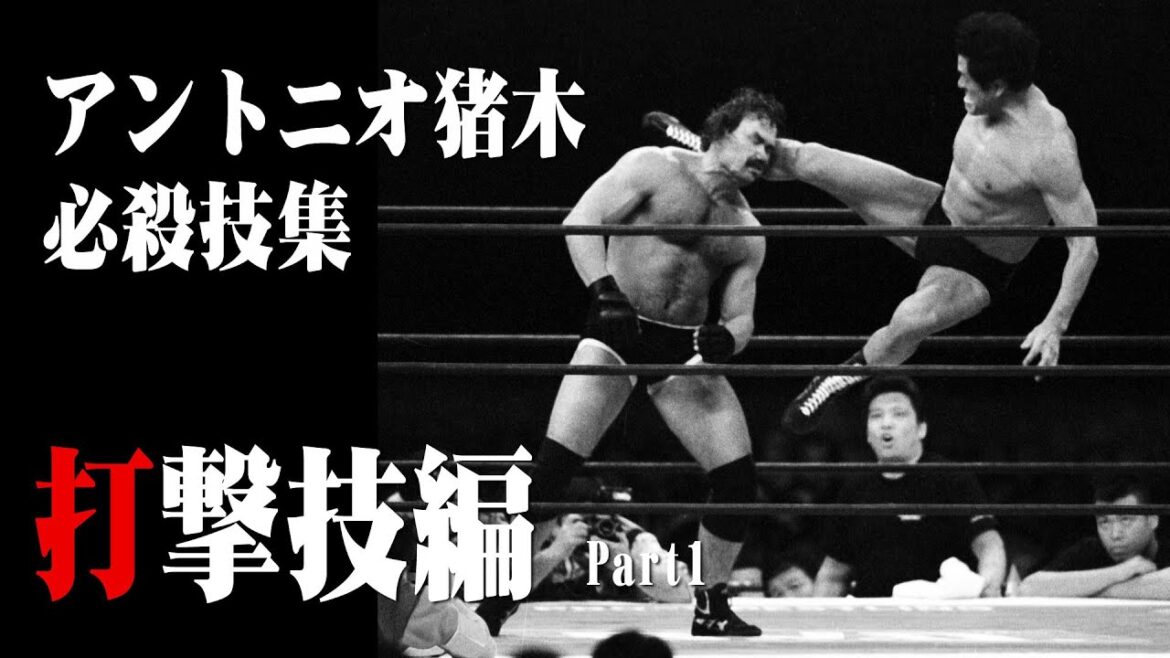燃える闘魂 アントニオ猪木 必殺技集 打撃技編 Part1