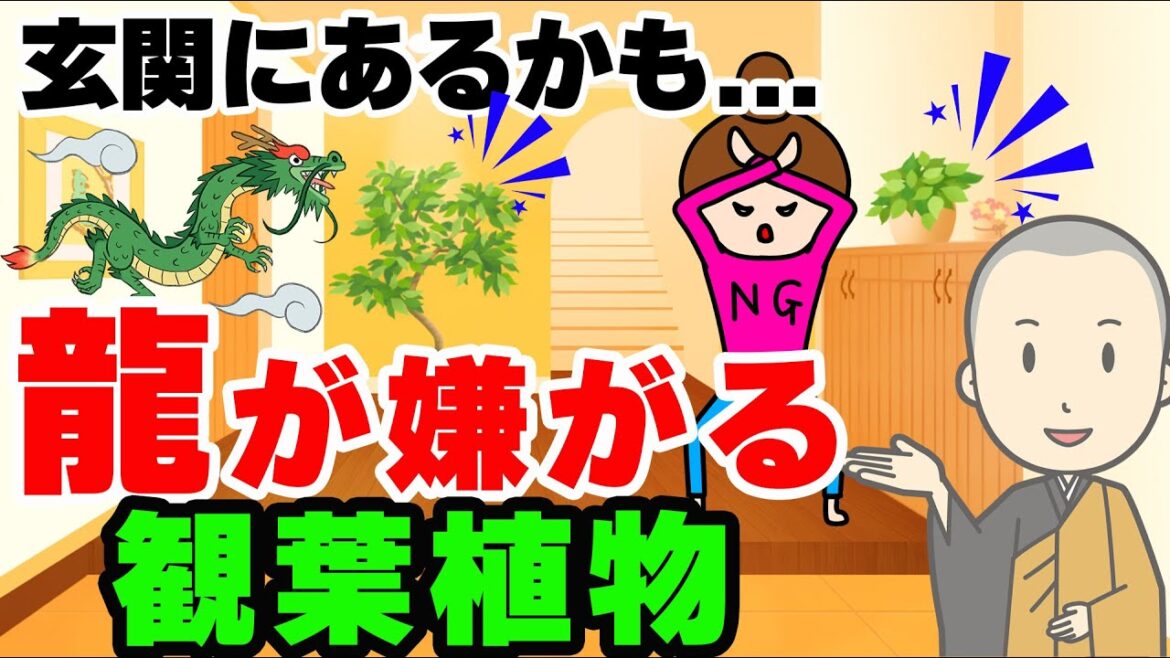 玄関の龍が去ってしまう！？玄関の運気をダダ下げする観葉植物とは？