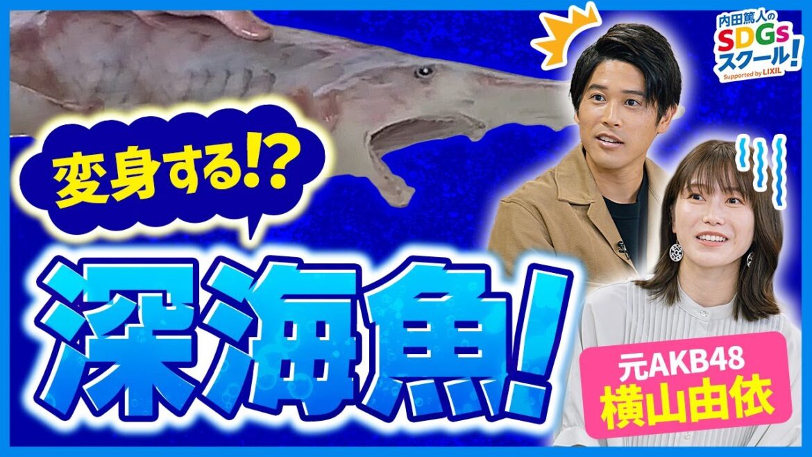 知られざる深海生物の世界！海の生物とSDGs 後編