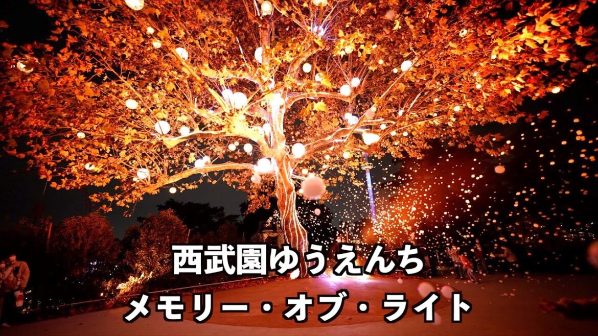 [4K] 西武園ゆうえんちのイルミネーション、メモリー・オブ・ライト