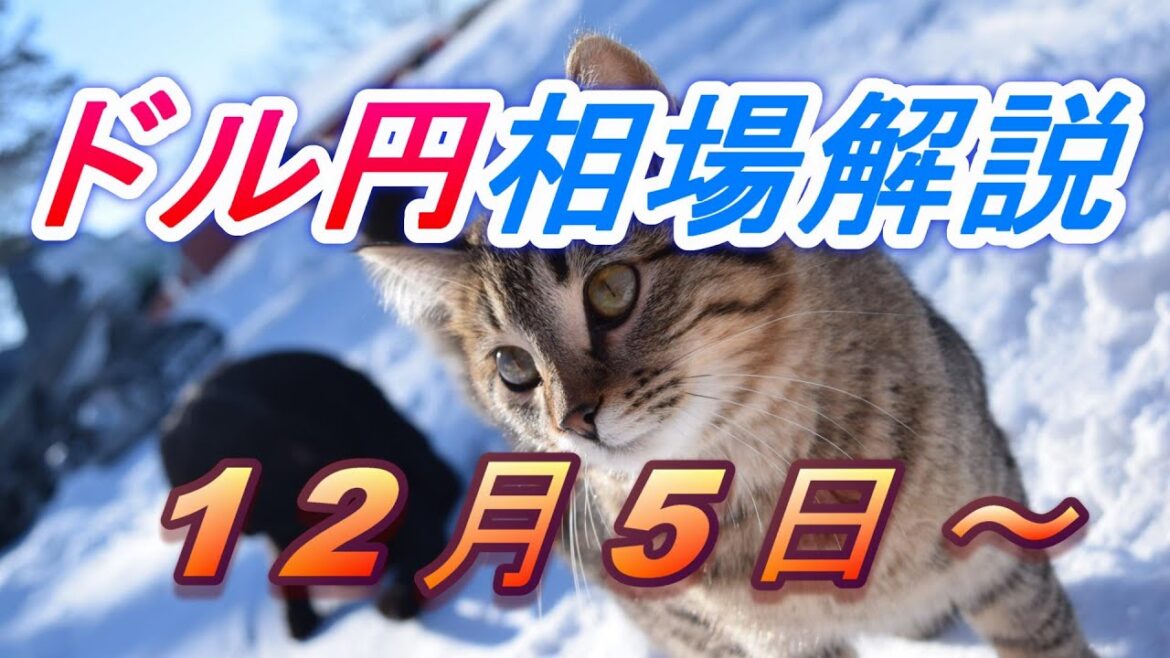 【TAKA FX】ドル円為替相場の今週の動きと来週の展望をチャートから解説。日経平均、NYダウ、金チャートも。12月5日～