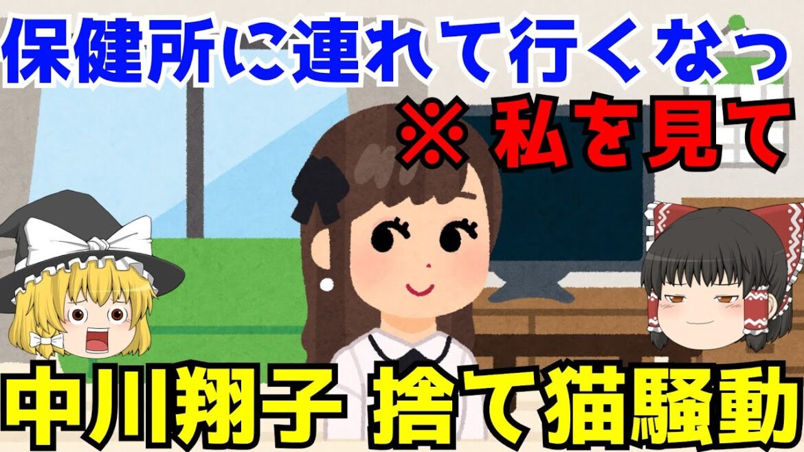 【中川翔子 捨て猫騒動】ゆっくり解説【あのニュースは今】
