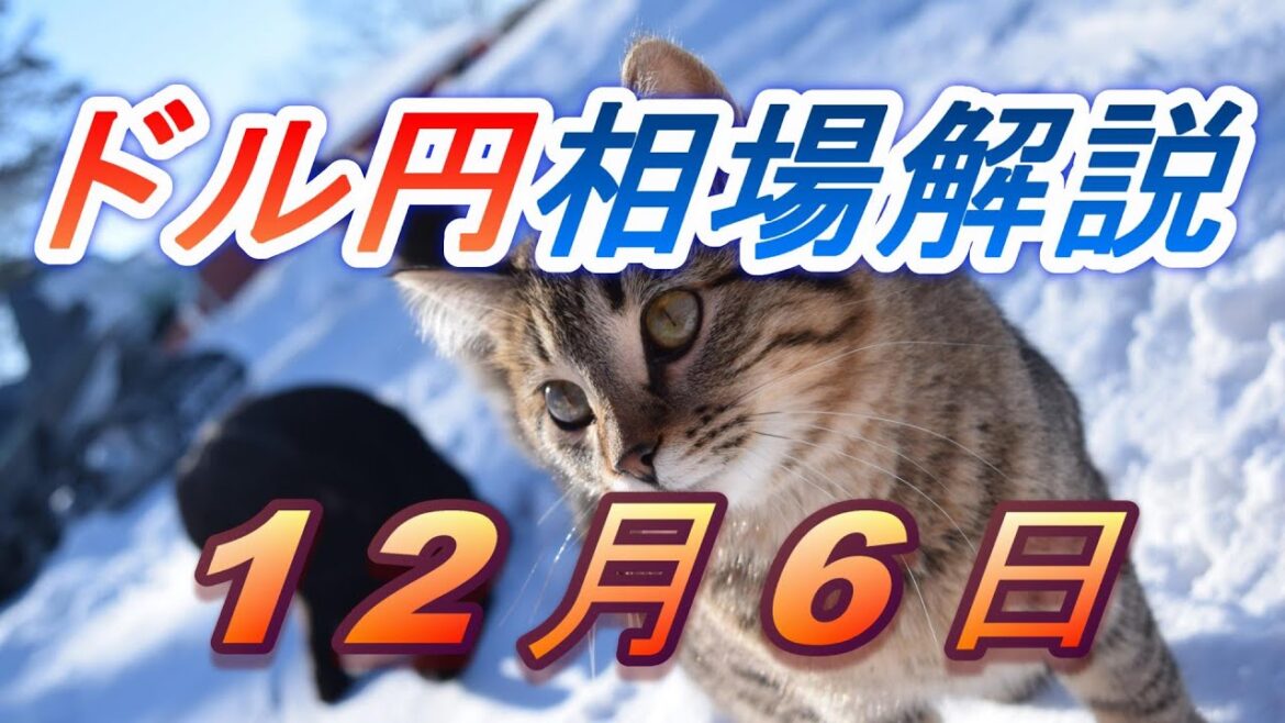 【TAKA FX】ドル円為替相場の前日の動きをチャートから解説。日経平均、NYダウ、金チャートも。12月6日