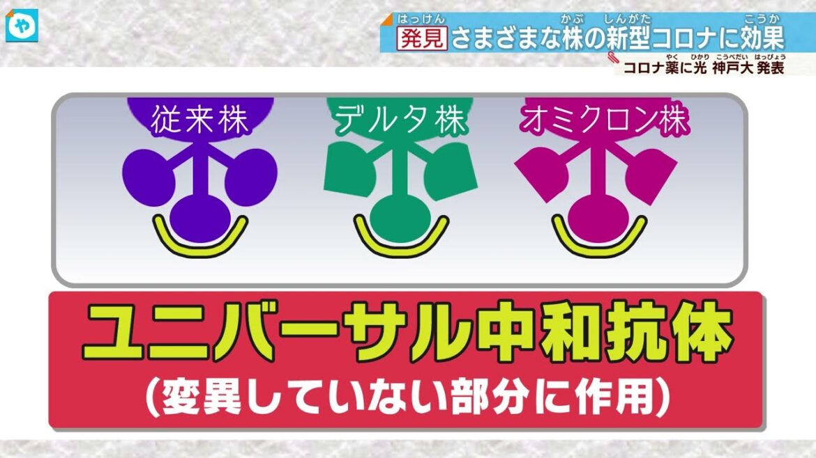 【＃ユニバーサル中和抗体】ついに…新型コロナとの戦いに終止符⁉ 様々な変異株に効果  神戸大学が発表