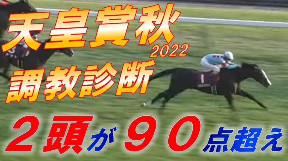 天皇賞秋2022　追い切り診断　イクイノックスに大きな変化が！？　意外過ぎる馬が80点台　元馬術選手のコラム【競馬】