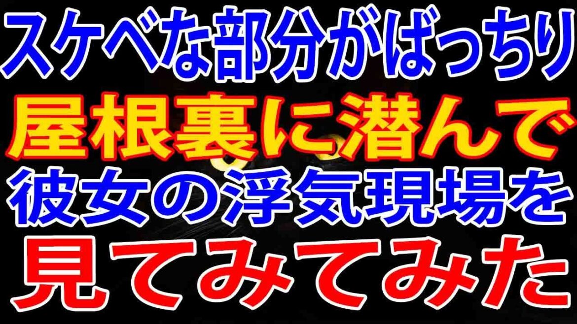 【修羅場】屋根裏に潜んで彼女の浮気現場を見てみてみた