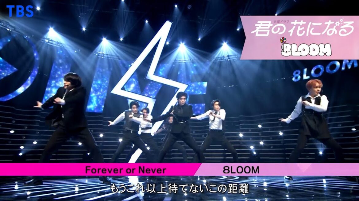 8LOOM 「Forever or Never」 CDTV ライブ!ライブ! Performance Ver.【TBS】 8LOOM 「Forever or Never」 CDTV ライブ!ライブ! Performance Ver.【TBS】