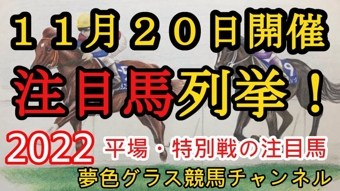 【注目馬列挙・平場予想】2022年11月20日JRA平場特別戦！福島はこの若手騎手に大注目！そして福島民友カップはひそかに爆穴狙い！