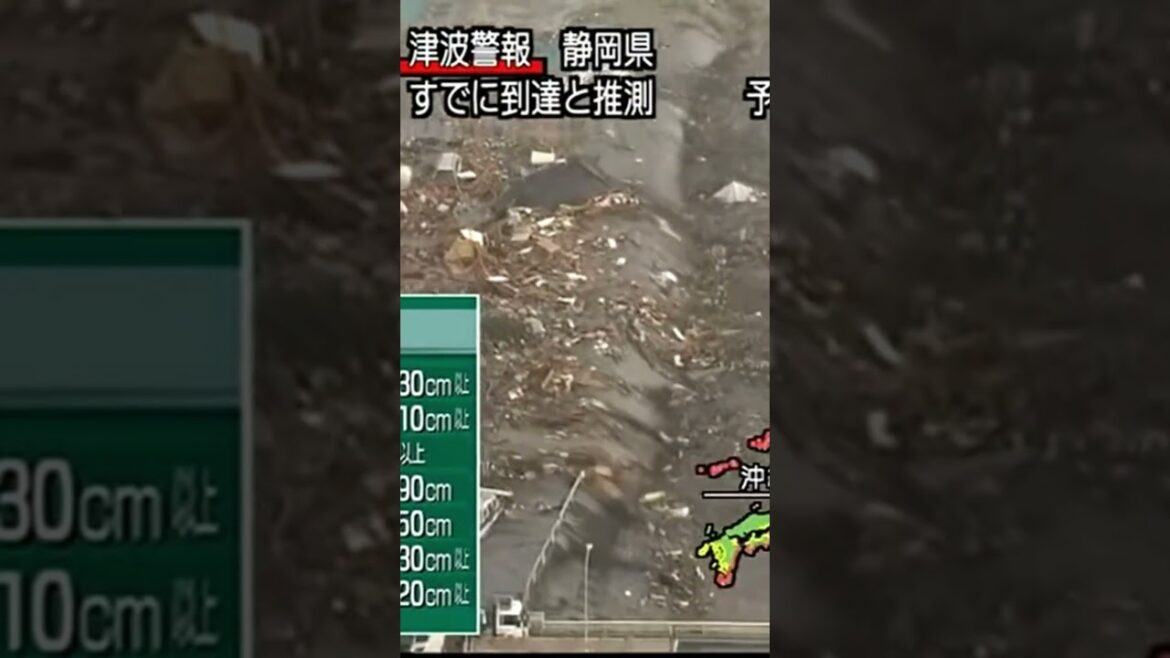 人が飲み込まれる瞬間　東日本大震災津波地震ライブ６　JAPAN earthquake TUNAMI LIVE　#shorts　#日本全国地震に備えるＣＨ　#地震ライブ
