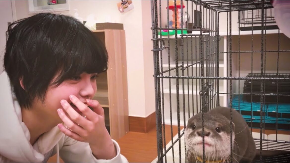 欅坂46 平手友梨奈　＜自撮りＴＶ＞