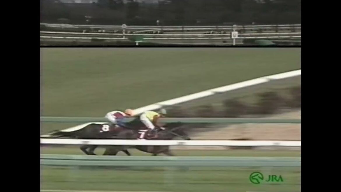 ウイニングチケット 1993年 第30回報知杯弥生賞(GII) (優勝馬：ウイニングチケット) (実況：ラジオたんぱ版)