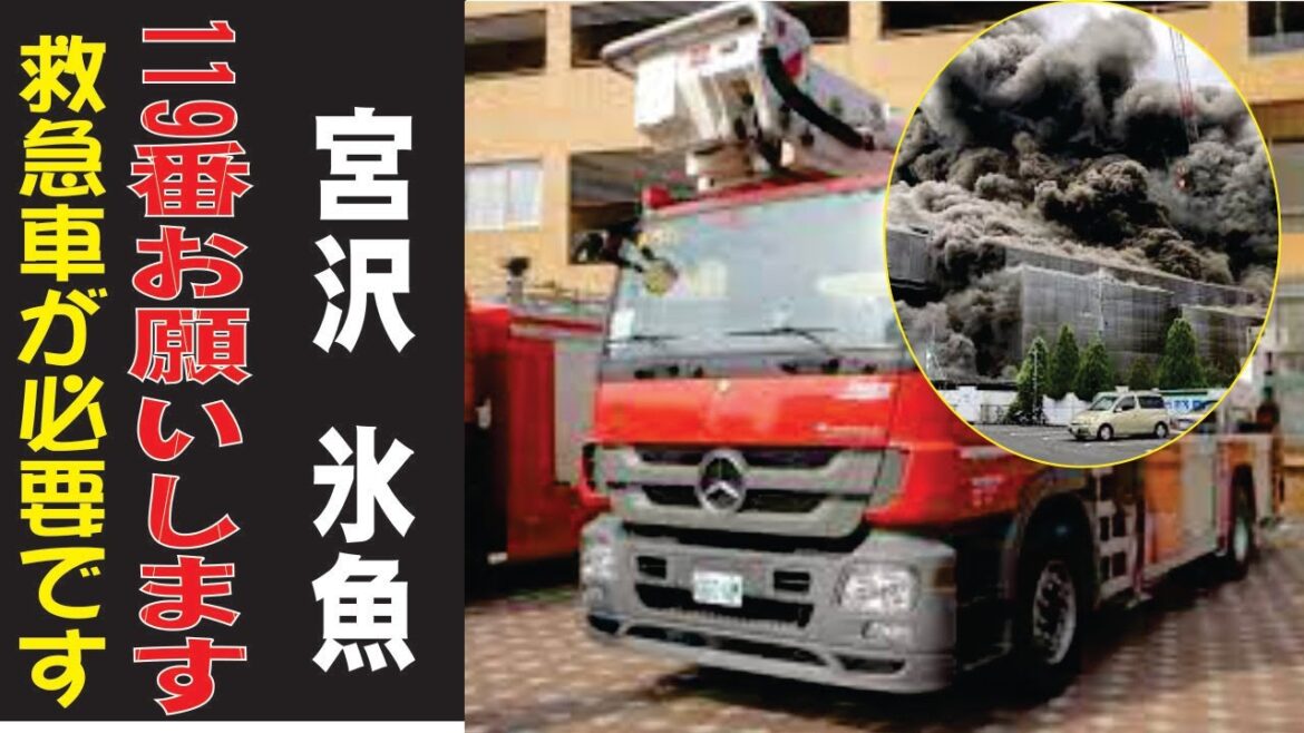 宮沢 氷魚、現在の生活が衝撃すぎた…