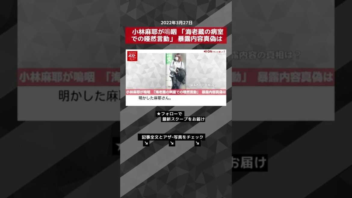 小林麻耶が嗚咽 「海老蔵の病室での唖然言動」 暴露内容真偽は NEWSポストセブン #shorts
