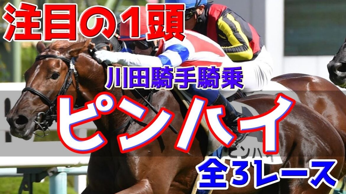 ピンハイ 過去3レース集【エリザベス女王杯参考】