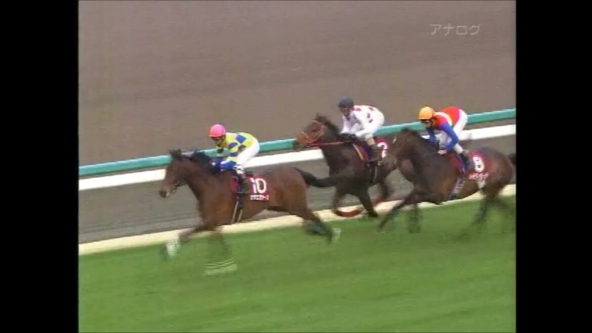 第46回　弥生賞　ロジユニヴァース　2009.3.8　　出走馬：ミッキーペトラ、セイウンワンダー