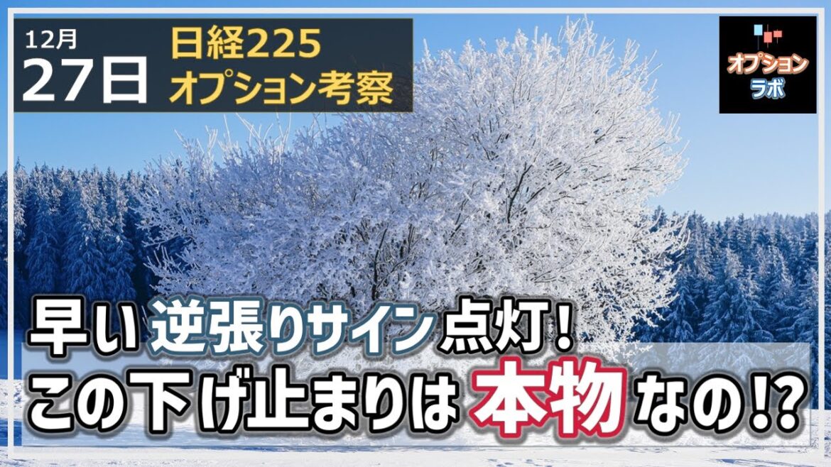 【日経225オプション考察】12/27 日経平均に早い逆張りサイン点灯！ この下げ止まりは本物か考察！