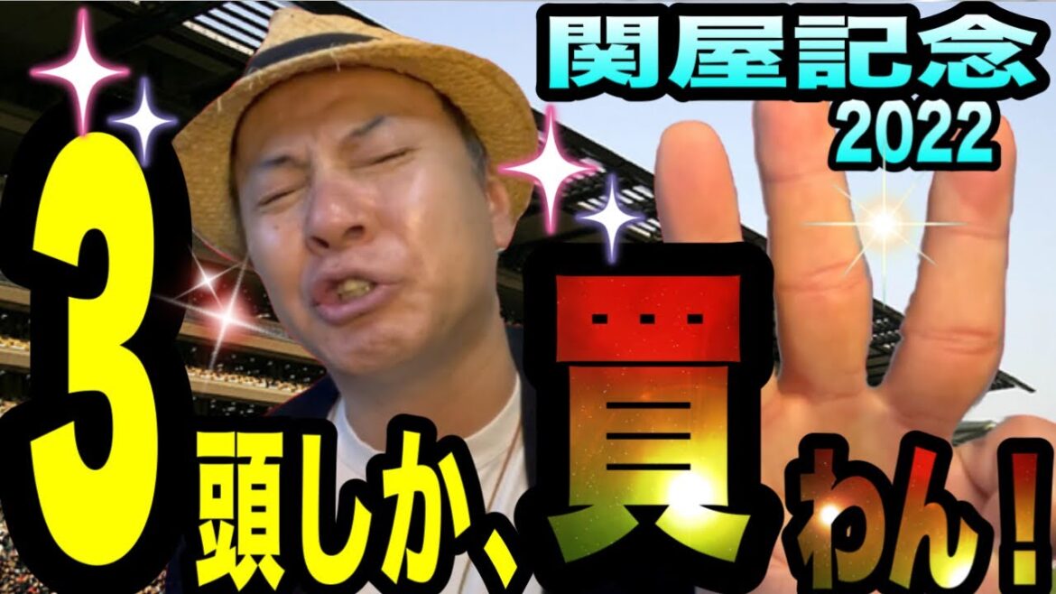 【関屋記念2022】今回は自信アリ？！3頭に絞ります！