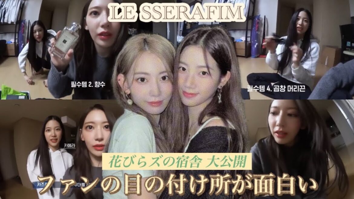【LE SSERAFIM】ルセラフィムの宮脇咲良とカズハが宿舎を不意に公開【MY FIRST MAMA]】