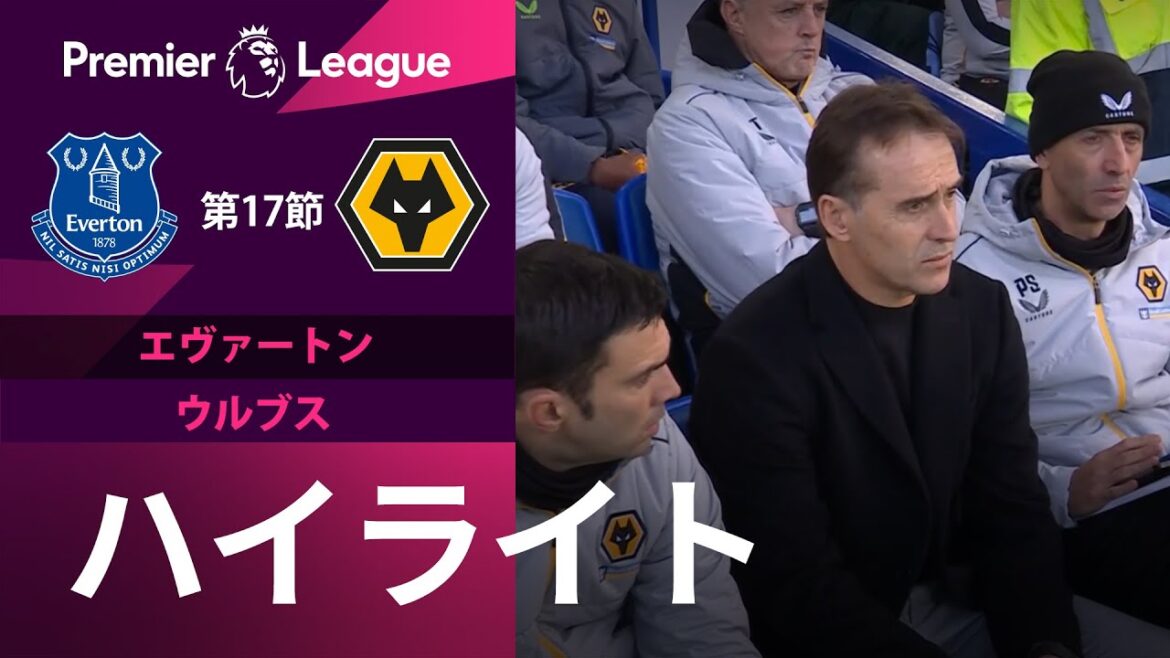 【プレミアリーグ】22/23シーズン第17節 エヴァートン vs ウルブス ハイライト