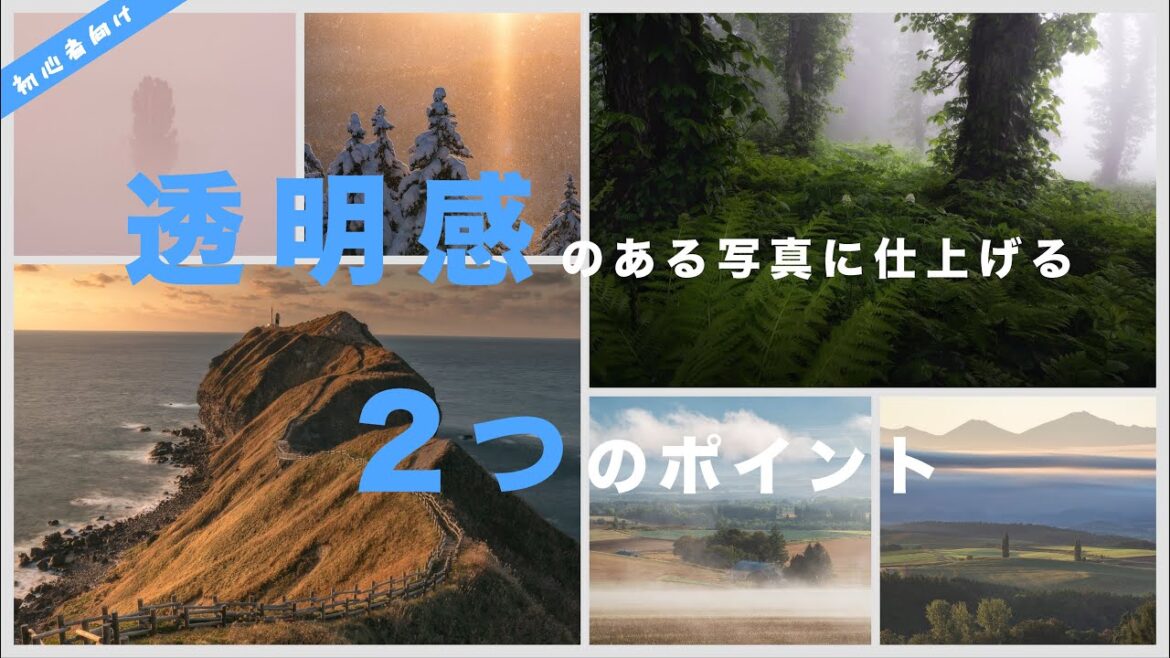 透明感のある写真に仕上げる2つのポイント