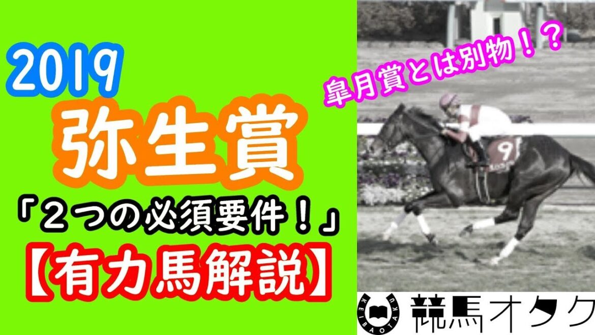 【2019弥生賞】絶対必須の２つの条件とは？（レース傾向・有力馬解説）