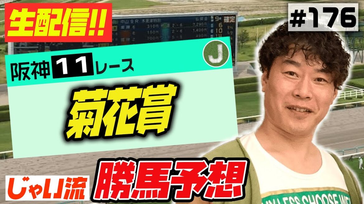 #176【生配信】菊花賞でのじゃいの予想【勝ち馬予想】