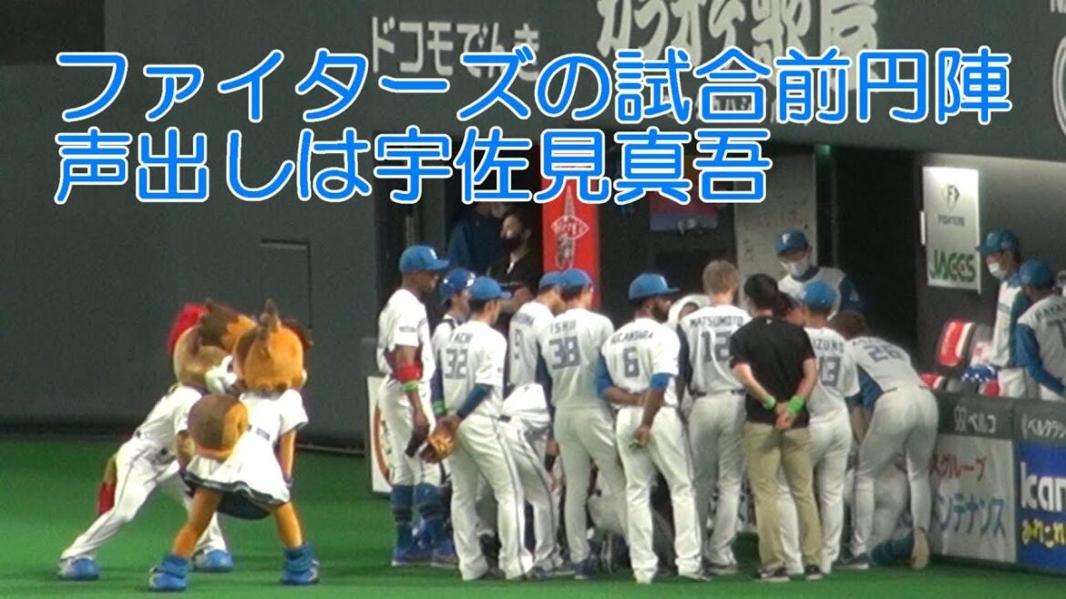 20220527 ファイターズ試合前円陣の声出しは宇佐見真吾！フレップとポリーちゃんも参加したよ！