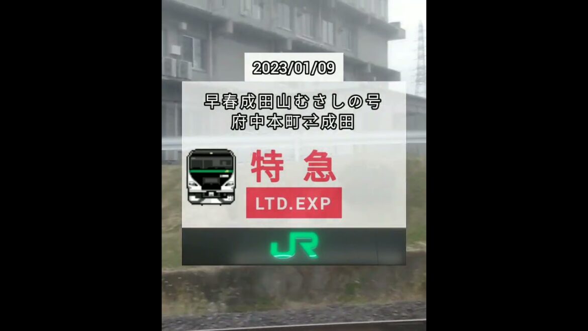 JR東日本八王子エリア発着　臨時特急列車の運行計画(2023/01~02)