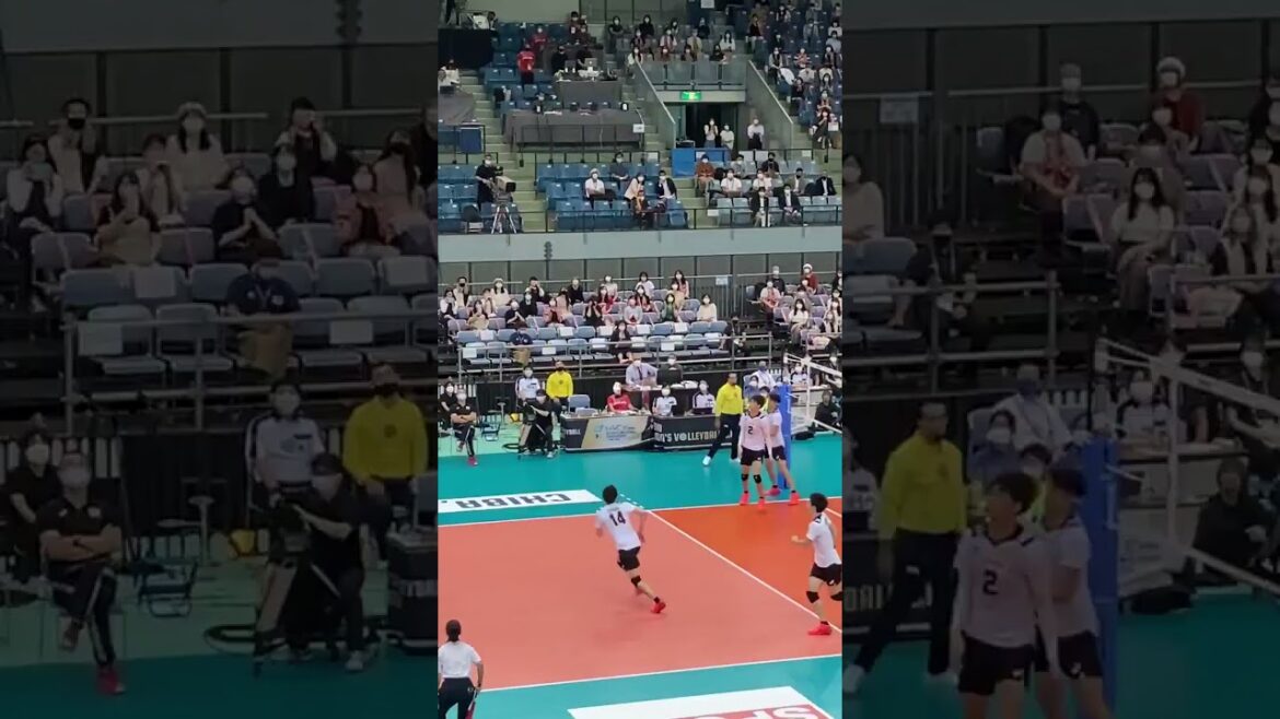 ishikawa's back set to otsuka, from a different angle  #石川祐希 #大塚達宣 #龍神NIPPON #volleyball ishikawa's back set to otsuka, from a different angle  #石川祐希 #大塚達宣 #龍神NIPPON #volleyball