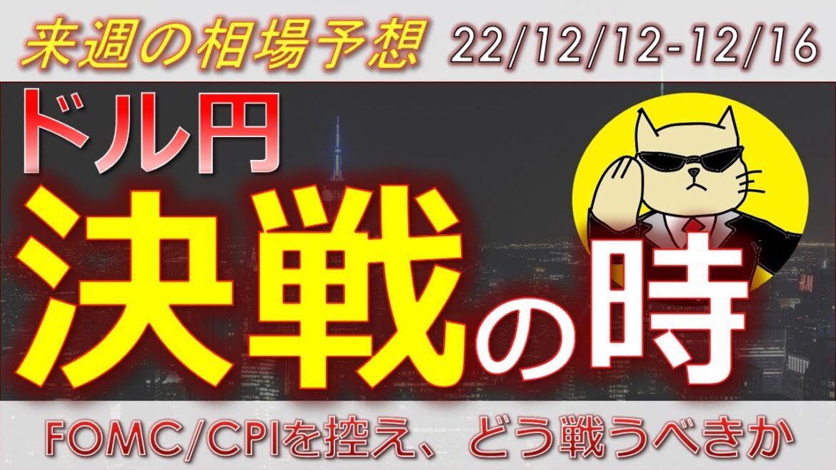 【ドル円最新予想】ドル円はまだ上昇余地あり！FOMC・CPIでドルが買われる条件とは？簡単解説！来週の為替相場予想と投資戦略ご紹介！FOMC・CPI・小売売上高に注目！ (22/12/12週)【FX】