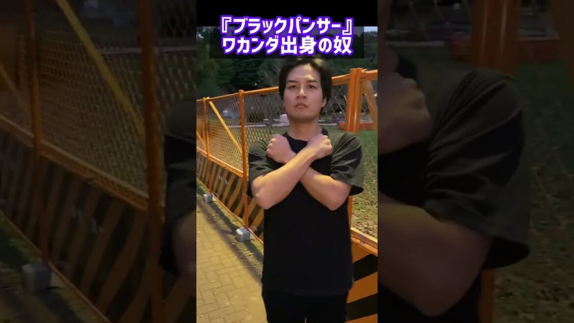 【ブラックパンサー】ワカンダ国出身の奴#MARVEL#blackpanther