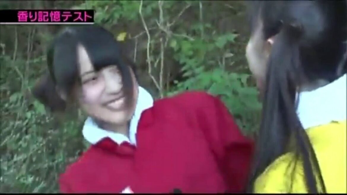 あんにんこと入山杏奈のくすぐり　iriyama anna tickle / Iriyama Anna es cosquillas