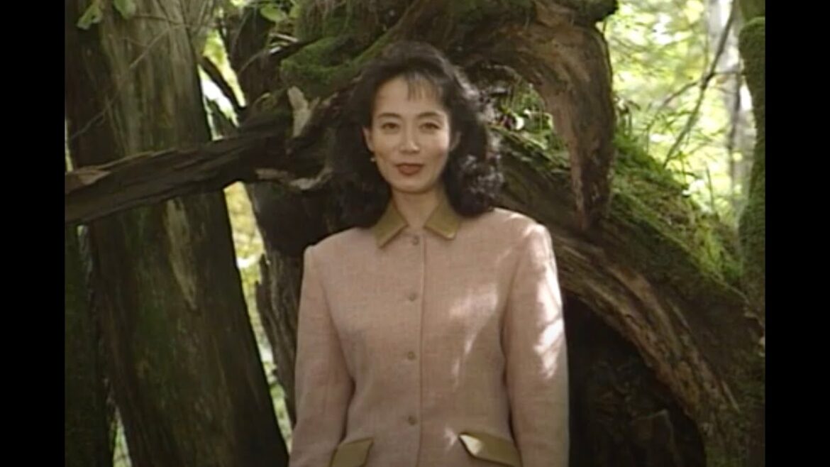 森が歌う日魚が帰る レポータ　島田陽子　1993年11月3日放送　 for youtube