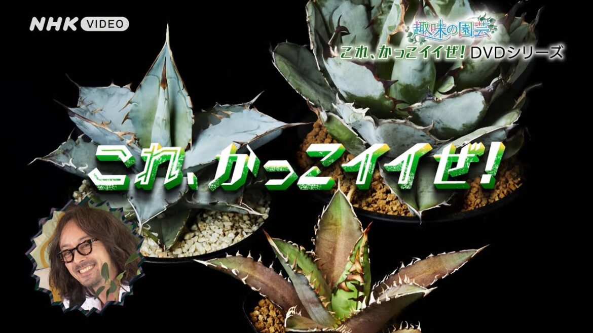 趣味の園芸 これ、かっこイイぜ！ PR動画