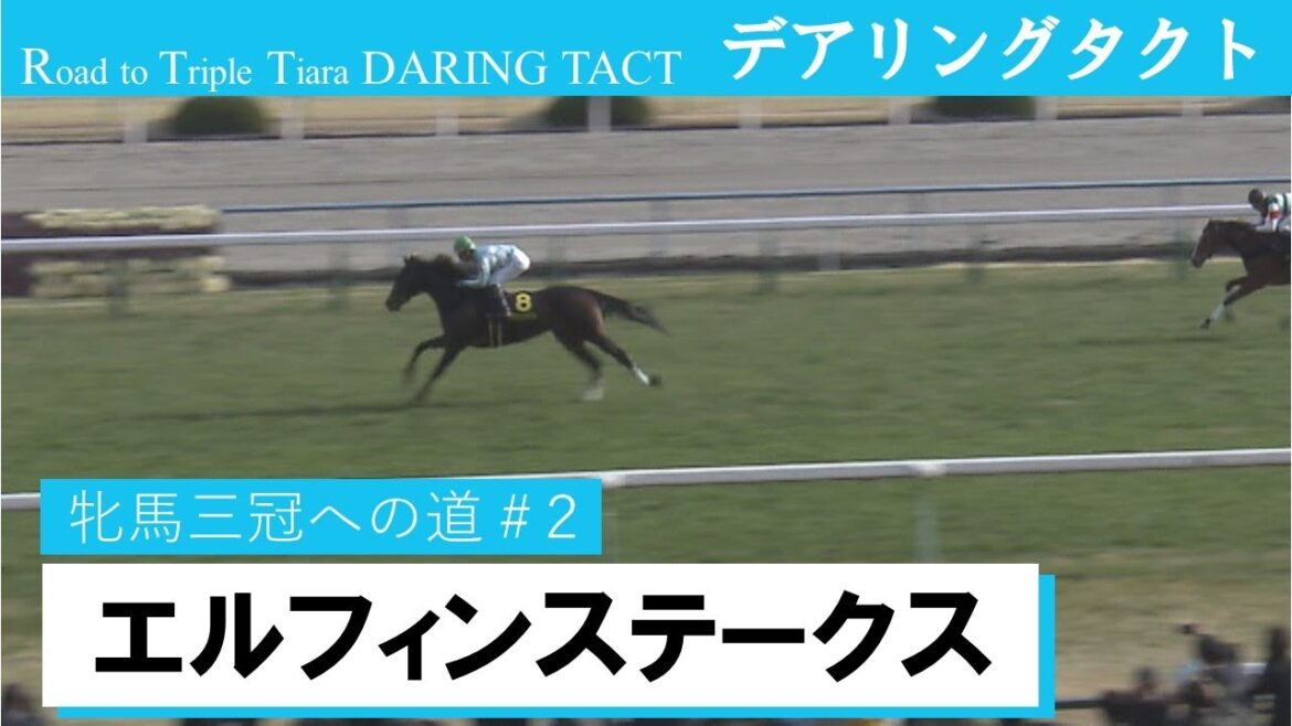 【エルフィンS 】デアリングタクト 牝馬三冠への道#2 Road to Triple Tiara《Daring Tact Race2:Elfin Stakes》