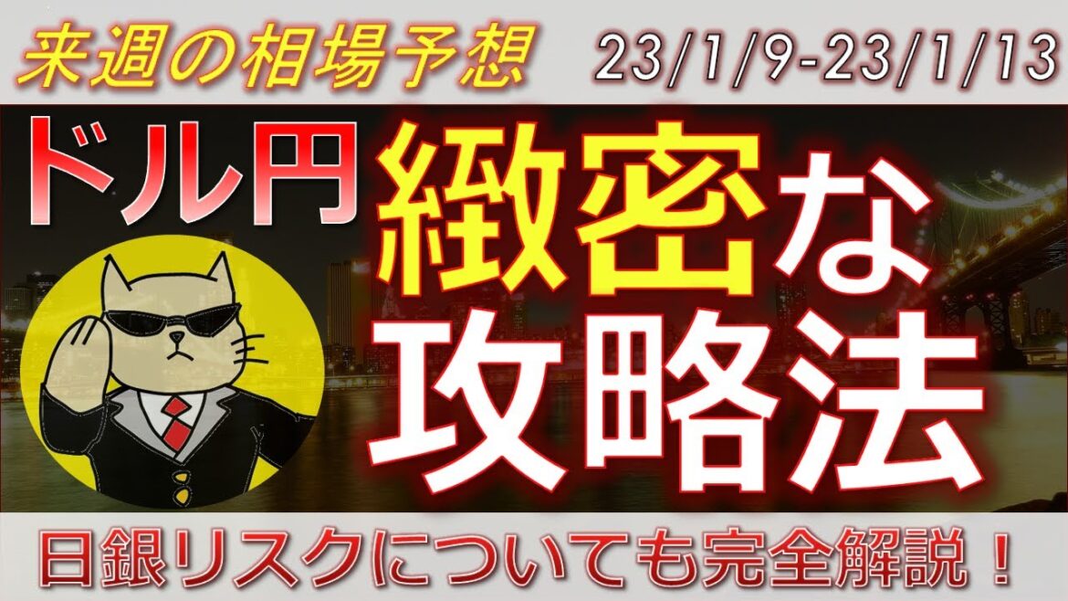 【ドル円最新予想】ドル円はまだ上がる！けどタイミングが大事！攻略法を徹底解説！雇用統計で暴落の理由も解説！来週の為替相場予想と投資戦略紹介！CPI・ミシガン・パウエルに注目 (23/1/9週)【FX】