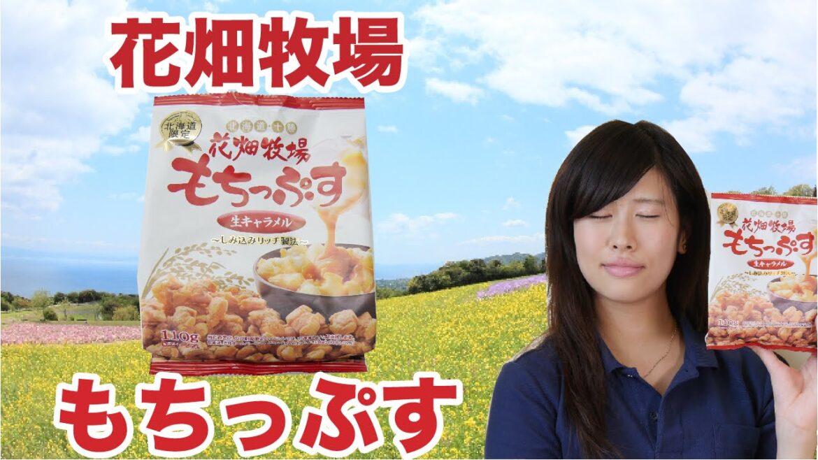 【北海道限定】花畑牧場　もちっぷす