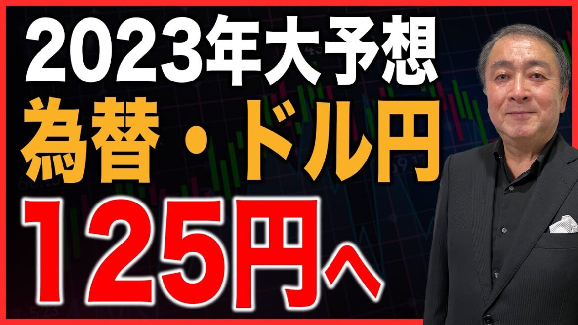 【投資家必見】2023年の為替大予測！ドル円はこう動く【為替/ドル円/FX/円安/武下明徳/たけチャンネル】