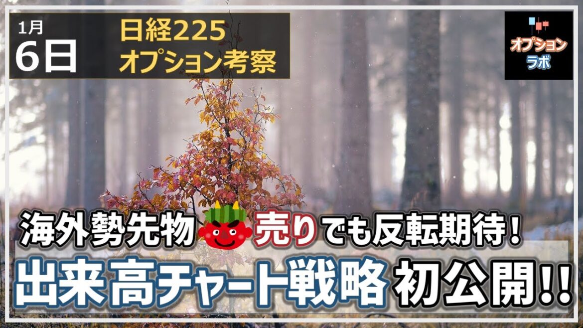 【日経225オプション考察】1/6 日経平均 海外勢先物鬼売りでも反転期待が！ 本邦初公開 出来高チャート戦略を紹介します！