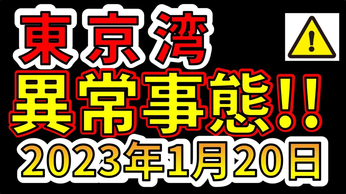 【要注意！】東京湾が異常事態です！巨大地震の前兆か！？分かりやすく解説します！