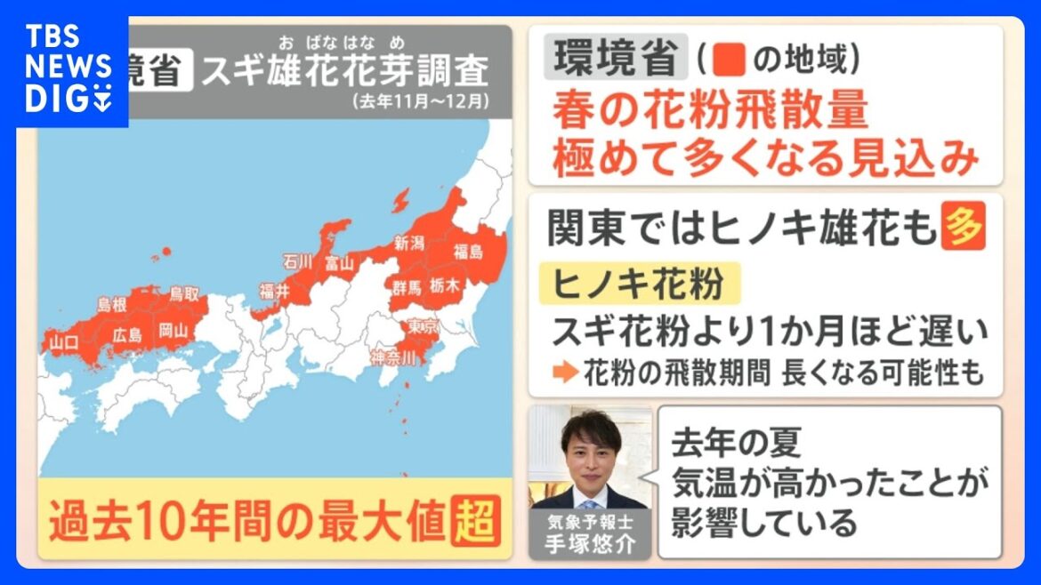 【解説】“スギ花粉”は過去10年で最大!?ことしの花粉を詳しく解説【花粉症】｜TBS NEWS DIG