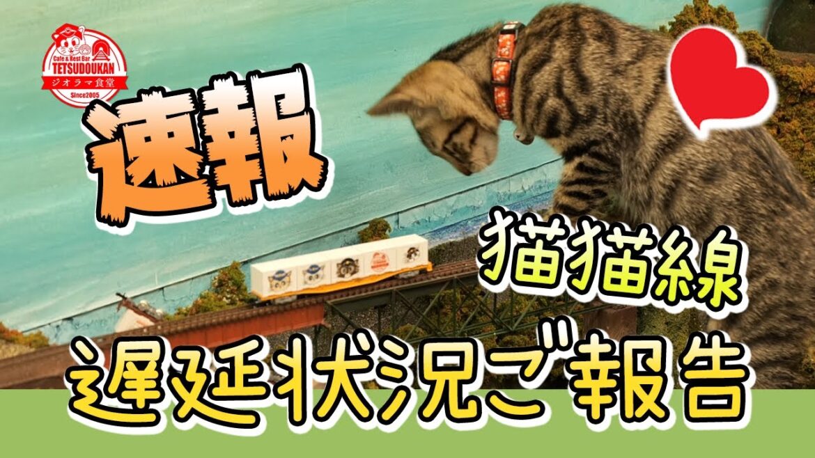 【運行情報】子猫の癒されhugにより,ただいま電車が遅延している状況が可愛い♡ The kitten gets in the way and stops driving ♡