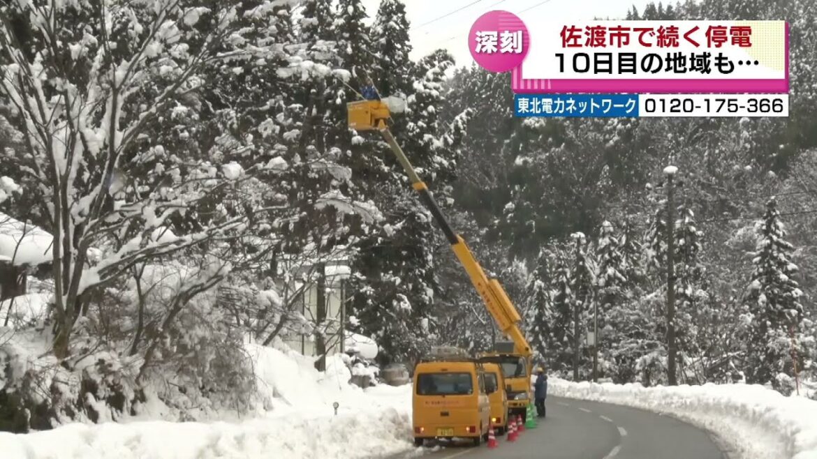 【長引く大雪の影響】佐渡市では停電１０日目の地域も　《新潟》